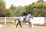SBM_002990