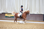 SBM_009004