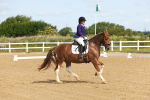 SBM_007641