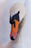 The Swan