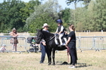 WJ6_8436