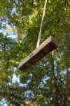 Frenchay Common Swing _39