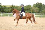 SBM_002196