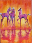 Fancy Fillies SOLD