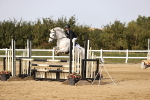 SBM_03526