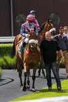 080624-Race 1-Rapido Girl-4512