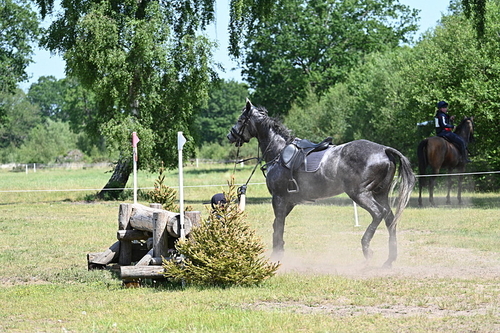 WJ7_3849