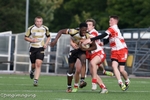 Rugby-1