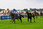 290826-Race 1-Trilby-5265