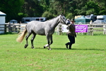 SBM_03338