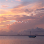 Abendstimmung, Bonaire