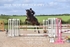 BPP_2376