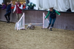 SBM_006236