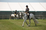 SBM_07604