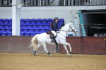 SBM_001931