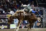 Tucker Curracato_DSC2344