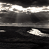 Breydon 'Sun Rays'