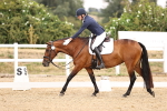 SBM_008595