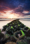 No Barrier to the Dawn