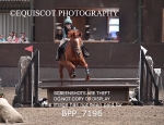 BPP_7196