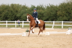 SBM_00740