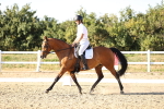SBM_007778