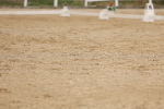 SBM_01599