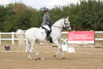 SBM_010484