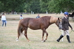 WJ6_6396