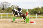 SBM_004451