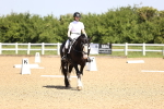 SBM_008250