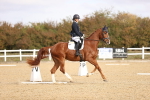 SBM_009608