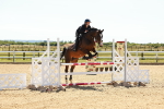 SBM_006729