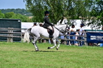 SBM_17403