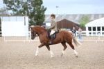 SBM_00278