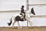 BPP_1119