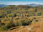 Autumn hues below Snowdon