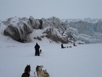 Dog Sleding 00875