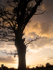 Stanton Drew Sunset _S007