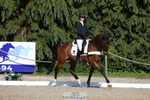 179-JARSON-Charlotte_Agnew-WEDTrotUp+DR portfolio