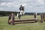 BVHT 140517  NXC -40