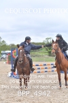 BPP_4942