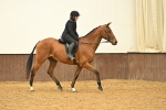 SBM_001982