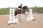 Cls 8&9 Pony Newc & Foxhunter portfolio