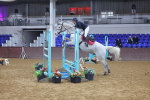 SBM_009113