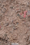 250511-095400-13034