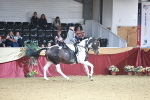 SBM_09091