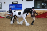 SBM_09795
