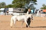 SBM_17641