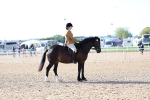 SBM_08913